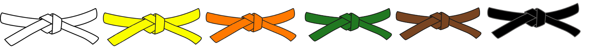 Martial arts belt progression